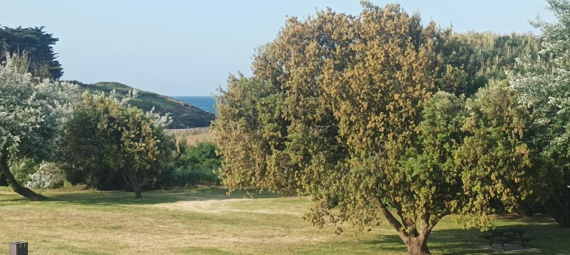 Appartement Vue Mer Exceptionnelle A 100M Tres Belle Plage Saint-Gildas-de-Rhuys Esterno foto